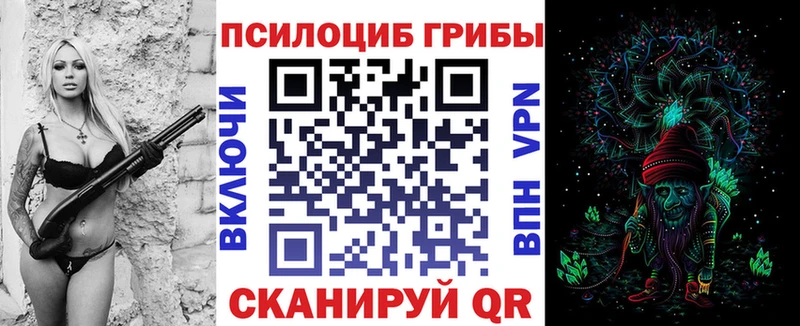 Купить где  Хасавюрт  Псилоцибиновые грибы MAGIC MUSHROOMS 