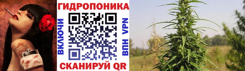 Купить где  Хасавюрт  Марихуана VHQ 